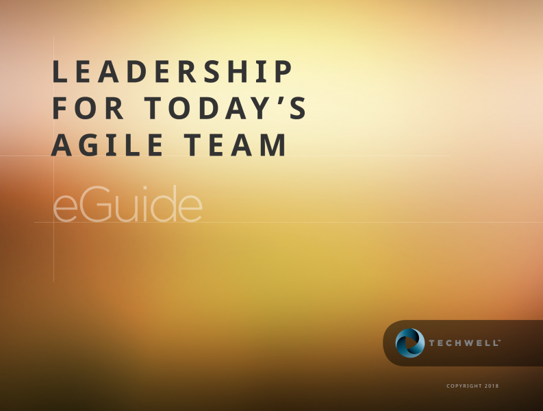 leadership in agile 