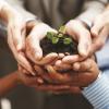 hands holding soil with plant