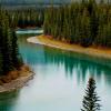 River flowing through a forest
